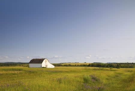 The pastoral countryside of Aroostook County, Maine, near Caribou July 18, 2014. Citing amenities such as an airport and recreation center as evidence of excessive spending by the city government, a group of Caribou residents have started a movement to secede from the northeastern most U.S. City and undo a municipal merger which took place in the 19th century. REUTERS/Dave Sherwood