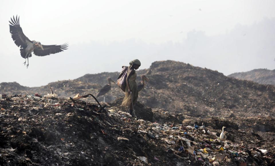FILE- In this April 22, 2014 file photo, a Greater Adjutant Stork flies by a ragpicker looking for recyclable items at a garbage dump on the outskirts of Gauhati, India. As India faces certain water scarcity and ecological decline, the country’s main political parties campaigning for elections have all but ignored environmental issues seen as crucial to India’s vast rural majority, policy analysts say. (AP Photo/Anupam Nath, File)