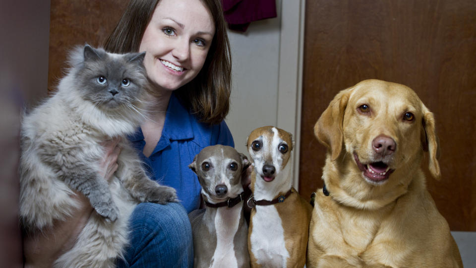 Lady with ragdoll cat and three dogs