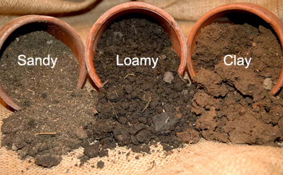 Different types of soil are poured through pots with excess – sand is heavier grained, clay is finer and thicker, and loamy is darker.