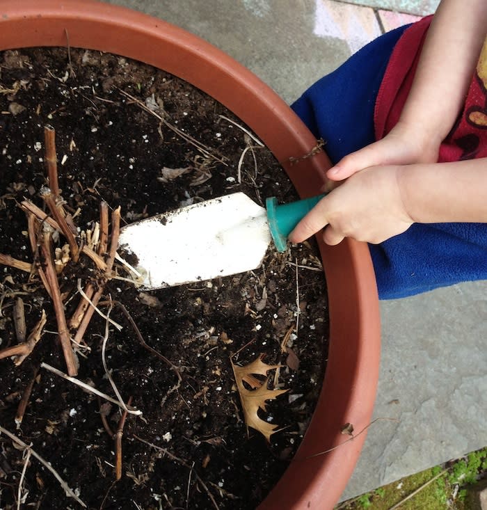 Removing Old Plants and Brush