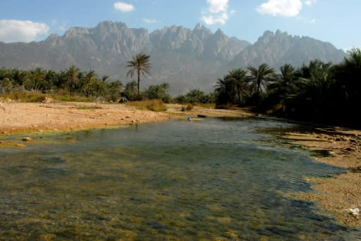 The Yemeni island of Socotra has been spared involvement in the country's conflict, which has claimed nearly 10,000 lives since March 2015