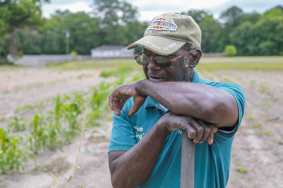 Robert "Uncle Bob" Johnson leans on his hoe in the field at Promised Land Farm.