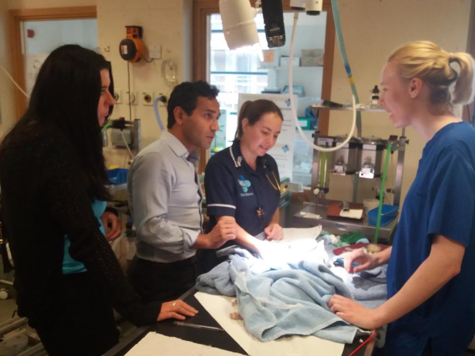 Mandy and Rehman at Blue Cross Victoria, who have pledged to back the Cats Bill. Staff explain that the victim has a broken jaw, the most common injury. (Mandy Lowe)