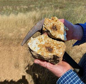 Granite rock chip sample with pyrites in it being examined by Chief Geologist Denis Walsh