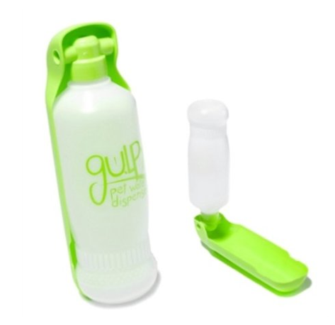 Gulpy Water Bottle