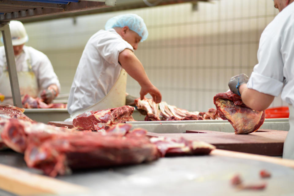 Die Arbeitsbedingungen in Schlachthöfen stehen schon lange in der Kritik (Symbolbild: Getty Images)