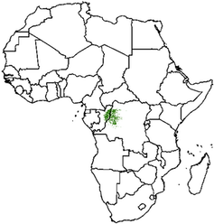 A line map of Africa with the location of the peatland complex indicated in green.