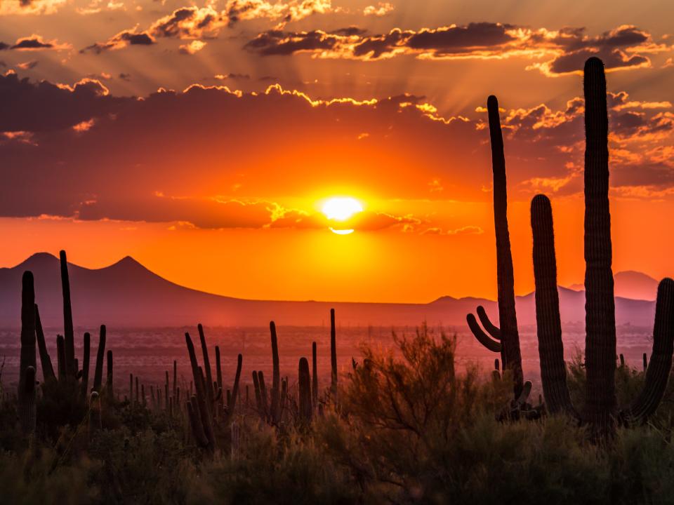 Arizona desert