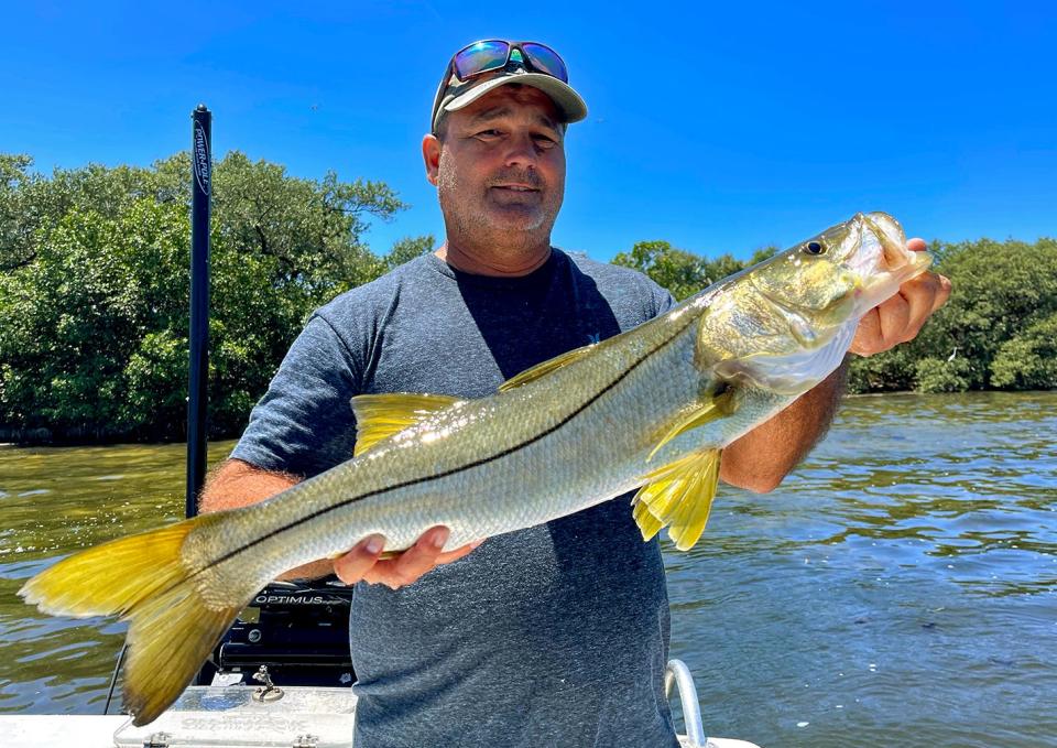 John Fernandez of Bradenton caught this 32-inch snook on a live scaled sardine while fishing in Perico Bay with Capt. John Gunter recently.