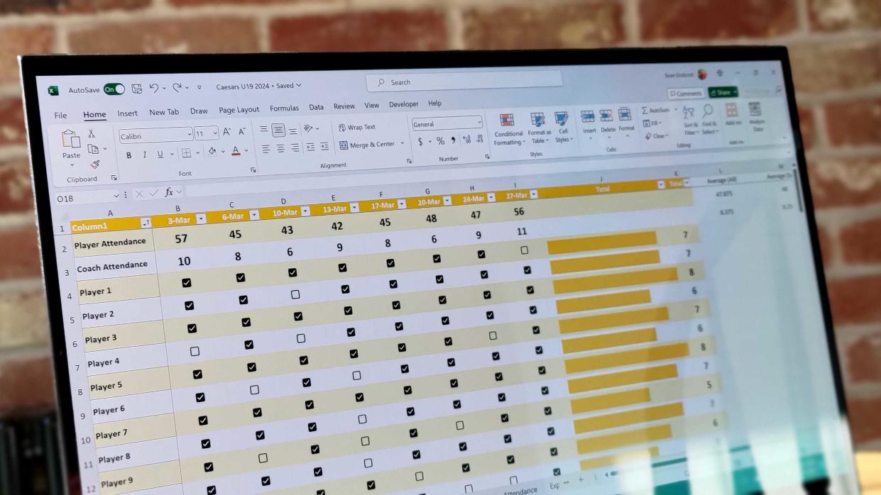  Excel spreadsheet with checkboxes. 