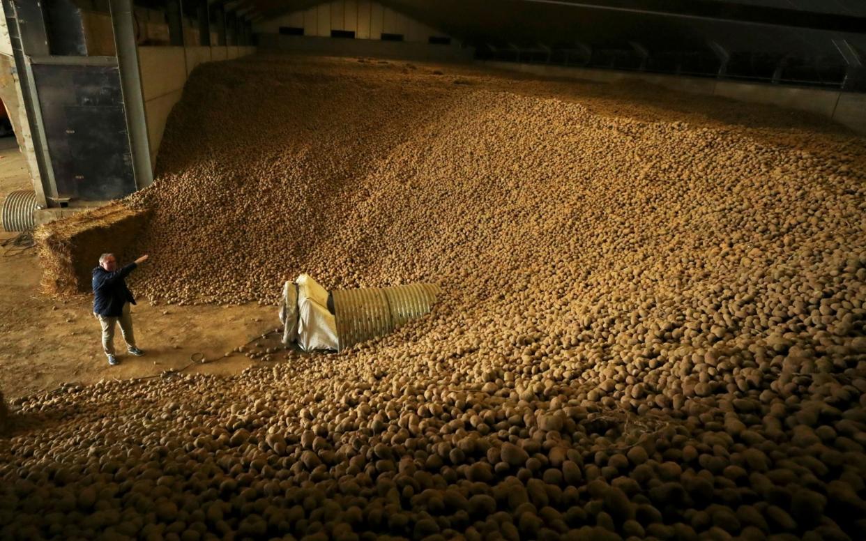 potatoes  - Yves Herman /Reuters 