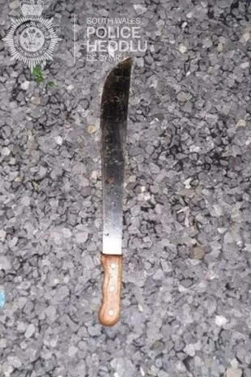 Machete recovered by police (South Wales Police)