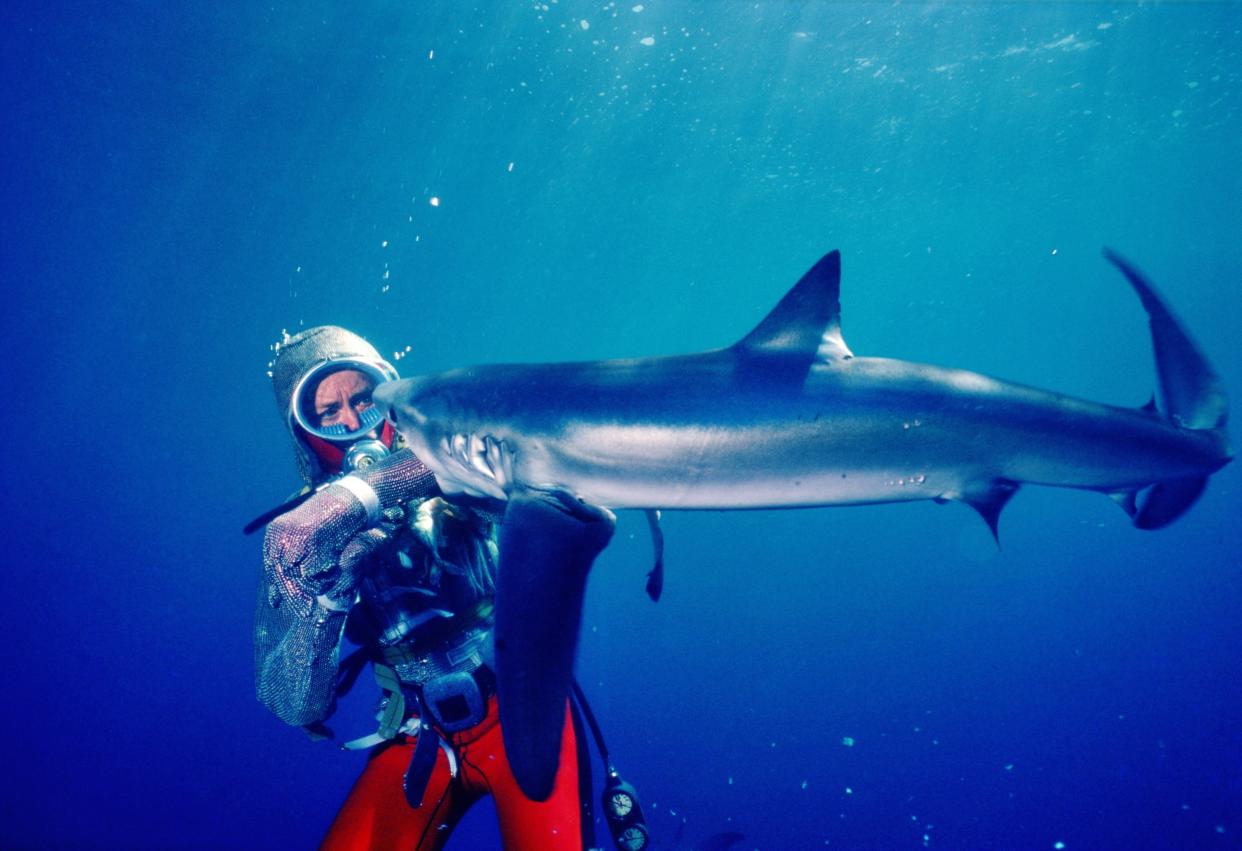 Valerie Taylor has a close encounter with a shark in vintage footage from the new documentary, 'Playing With Sharks' (Photo: Disney+)