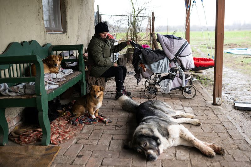 The Wider Image: Sustainable living offers hope for future for Hungarian families