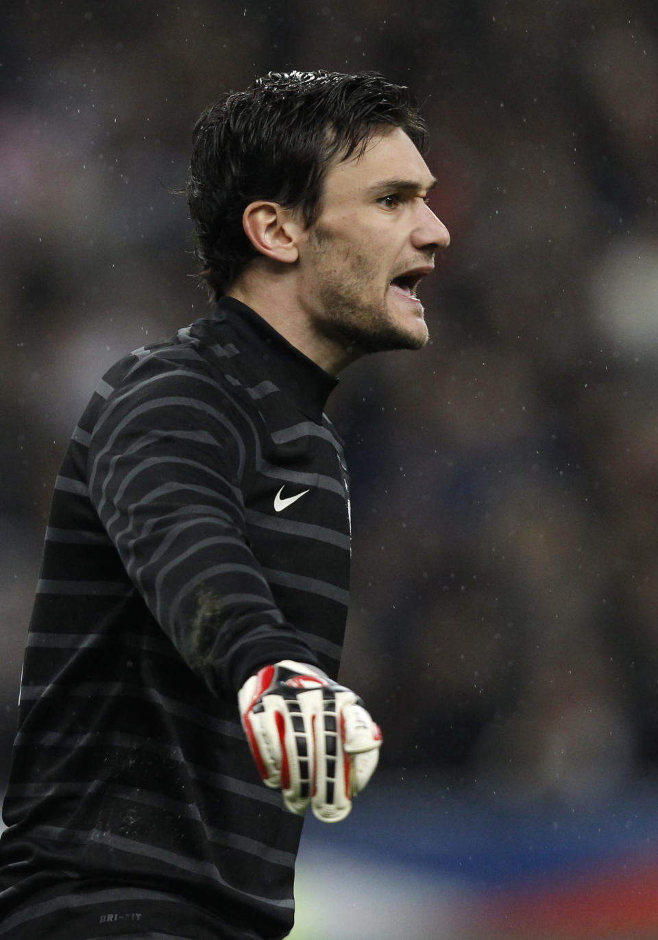 lloris