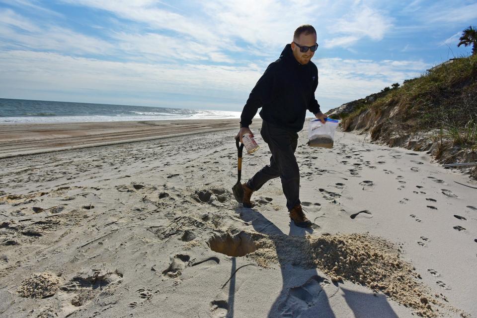 Consulting engineer Jon Brent takes sand samples from repaired dunes in South Ponte Vedra Beach in this photo from November. St. Johns County officials recently finished installing an "emergency dune" to protect the area from more erosion, but that project used sand trucked as much as 65 miles and the samples are used to ensure that the sand's color and coarseness match match beach conditions that occurred naturally there.