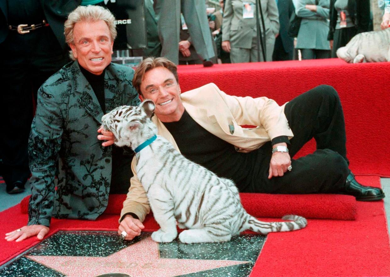 <p>llusionists Siegfried Fischbacher, left and Roy Uwe Ludwig Horn pose for photographers with a white tiger cub </p> (AP)