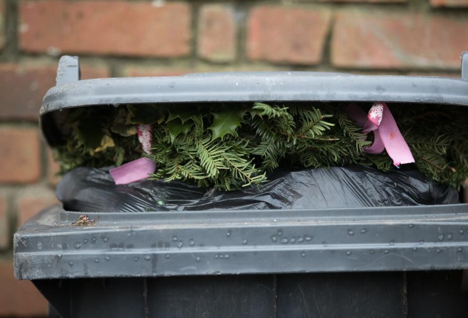 You can replant or reuse your Christmas tree instead of binning it (Getty Images)