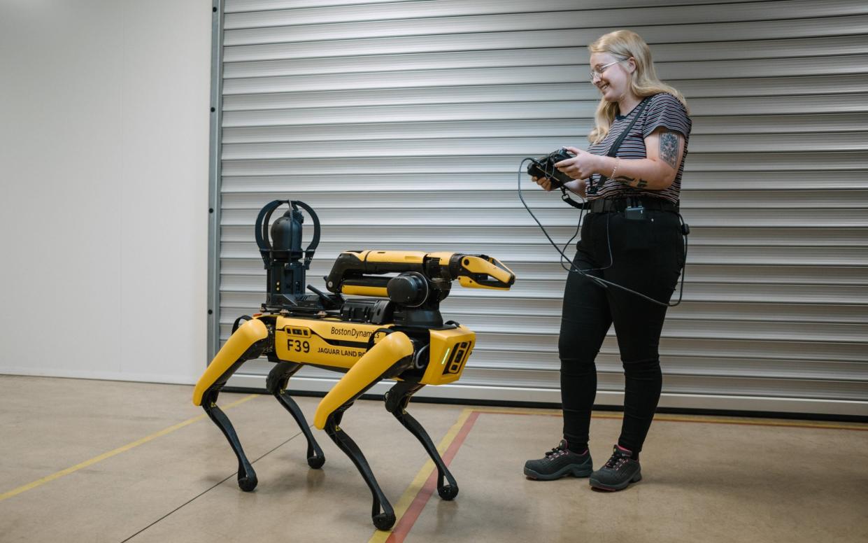 The yellow-and-black robot is the size of a large dog