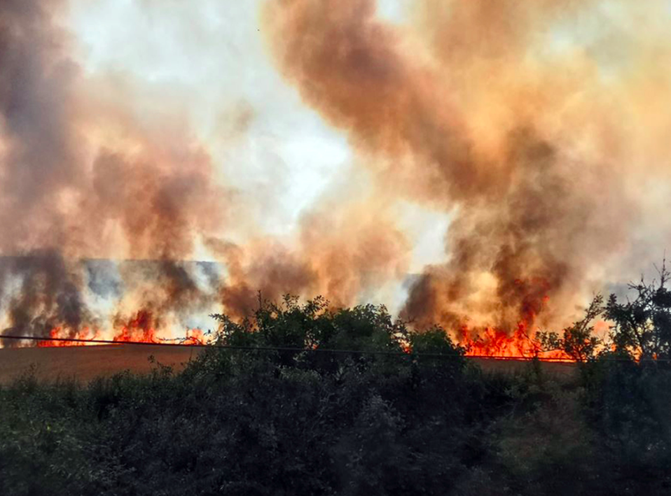 <em>Visitors to Drusillas Park, East Sussex, had to leave after flames took hold on dry grassland at Berwick Court Farm on Wednesday afternoon (PA)</em>