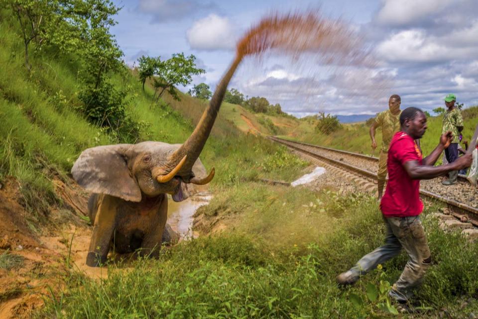 GDT European Wildlife Photographer of the Year 2023