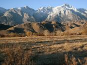 <p>You'll experience highs and lows in this great state. At 14,494 feet in height, Mt. Whitney is the <a href="https://www.britannica.com/place/Mount-Whitney" rel="nofollow noopener" target="_blank" data-ylk="slk:highest point;elm:context_link;itc:0;sec:content-canvas" class="link ">highest point</a> in the contiguous United States. It's a mere 76 miles away from Death Valley, known as the <a href="https://www.nps.gov/places/badwater-basin.htm" rel="nofollow noopener" target="_blank" data-ylk="slk:lowest point;elm:context_link;itc:0;sec:content-canvas" class="link ">lowest point</a> in the contiguous United States. </p><p><strong>RELATED: </strong><a href="https://www.goodhousekeeping.com/life/travel/g4313/most-epic-hikes-in-the-world/" rel="nofollow noopener" target="_blank" data-ylk="slk:The 50 Most Epic Places to Hike Around the World;elm:context_link;itc:0;sec:content-canvas" class="link ">The 50 Most Epic Places to Hike Around the World</a></p>