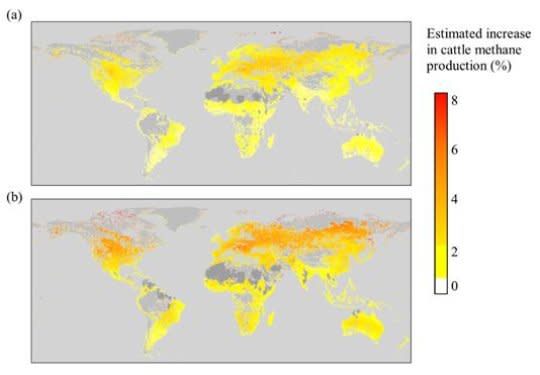 Mapa mostrando el probable incremento en metano provocado por la ganadería. Las regiones en gris no son utilizables hoy en día para el ganado. Por Dr Mark Lee