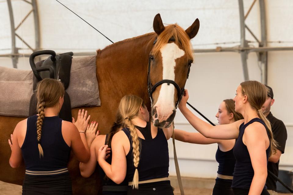 The girls thank their horse Cabo San Lucas after practicing their routine at Oak Hills Vaulting in Salem on Friday, July 7, 2023. The team will represent the USA at the FEI Vaulting World Championships for Juniors and Young Vaulters, taking place in Sweden. | Megan Nielsen, Deseret News