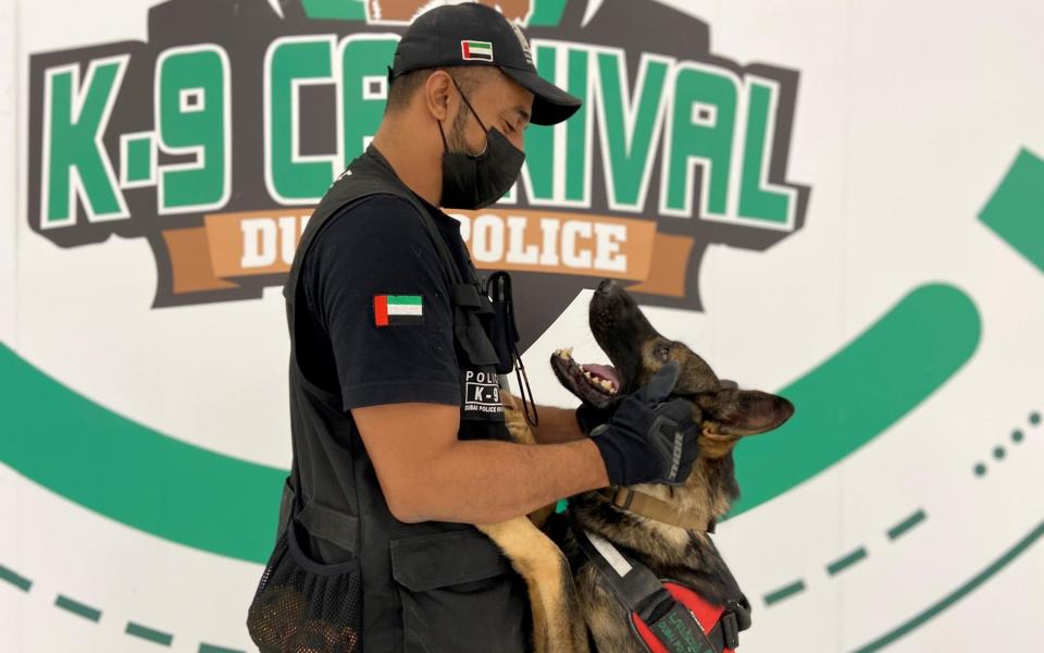 A dog that has been trained by Dubai Police K-9 unit to sniff out COVID-19 looks at his trainer in Dubai, United Arab Emirates - ABDEL HADI RAMAHI/REUTERS