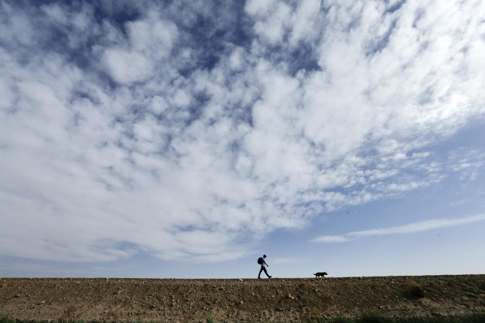 Francisco Munoz walks on barren soil with his dog in the Colorado River delta near Colonia Coahuila, Mexico, Wednesday, March 26, 2014. Colorado River water has begun pouring over a barren delta near the U.S.-Mexico border, the result of a landmark bi-national agreement being celebrated Thursday. (AP Photo/Gregory Bull)