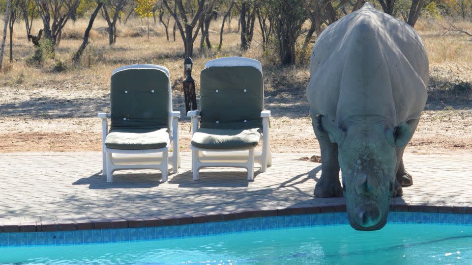 Khama Rhino Sanctuary in Botswana. - Michael Matsumoto/CNN iReport