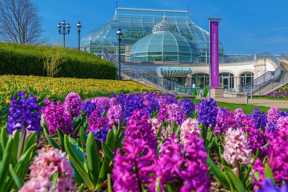 The Spring Flower Show returns to Phipps Conservatory & Botanical Gardens in Pittsburgh.