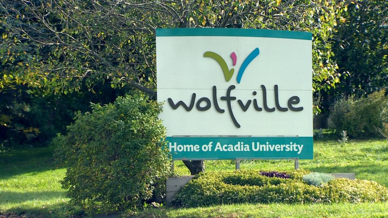 A report commissioned by Wolfville was presented to town council this week suggesting the municipality create an independent community safety and wellness society to deal with issues such as student partying.  (CBC - image credit)