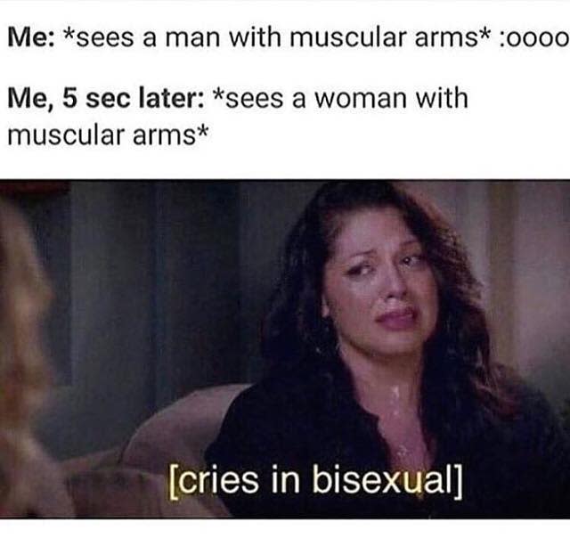 4) Bisexual memes