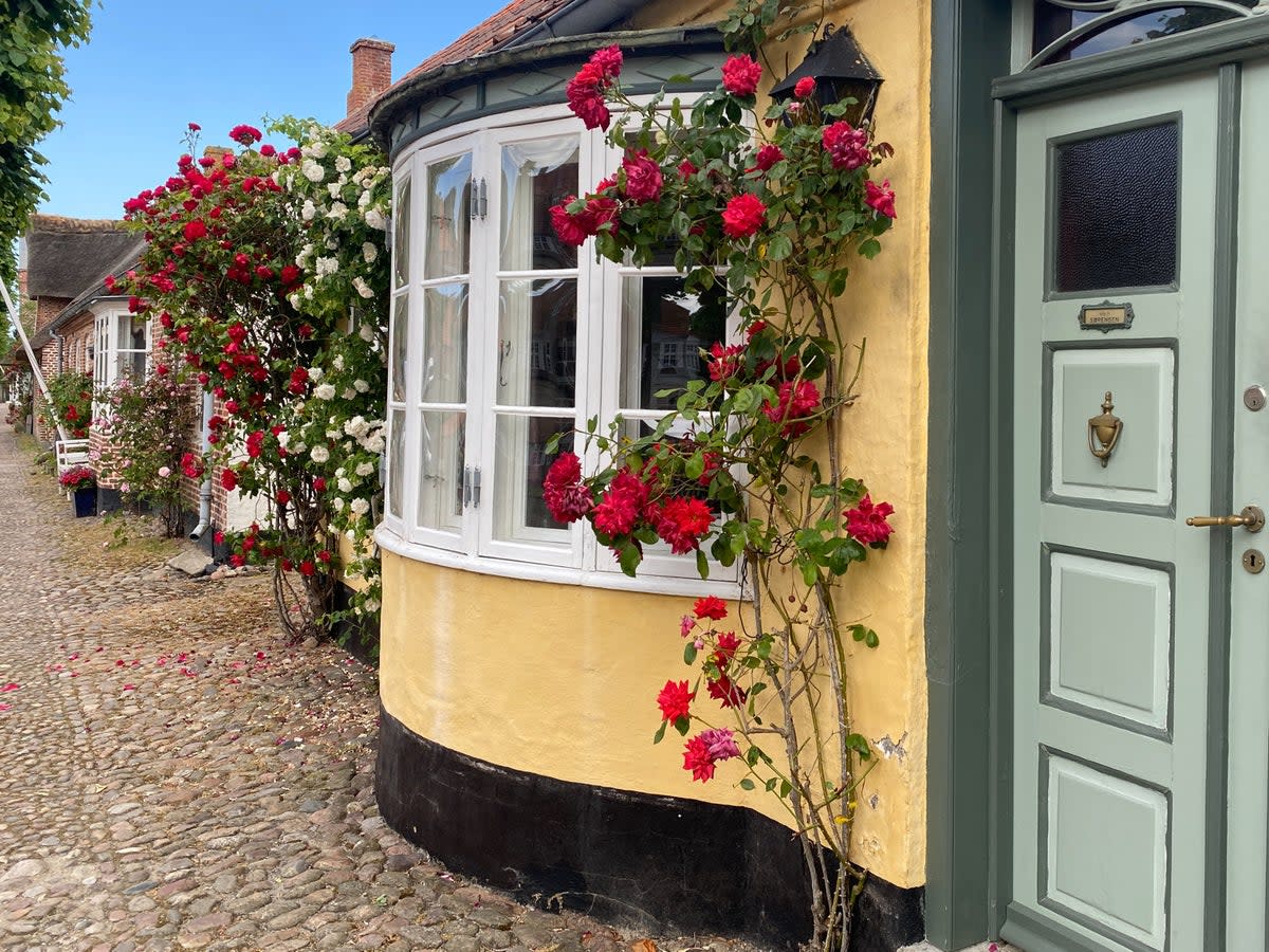 Rosy outlook: the main street in Møgeltønder, Denmark (Charlotte Hindle)