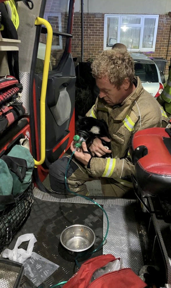 Pictures show the kitten with an oxygen mask of its face while sitting on the lap of a fireman. (SWNS)
