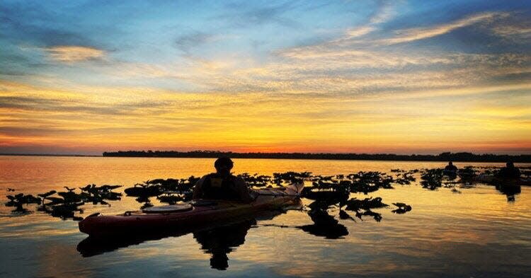 Kayak Guana River on Friday or Saturday on a guided tour with a master naturalist.