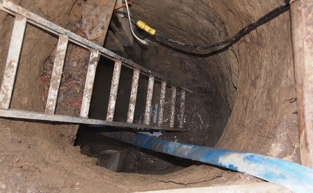 A ladder leading to a 33-foot-long tunnel supported using lumber found in Toronto, Ontario is pictured in this handout photo provided by Toronto Police, February 24, 2015. REUTERS/Toronto Police/Handout