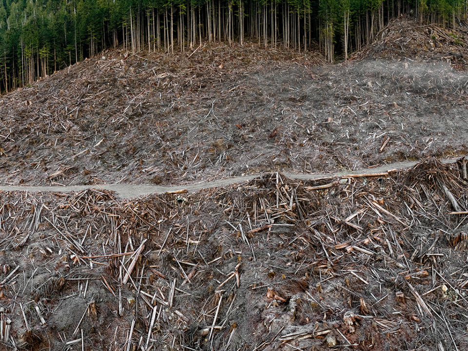 <p>Images created by artist Edward Burtynsky as part of the exhibition Anthropocene running simultaneously at the National Gallery of Canada in Ottawa and Art Galley of Ontario. </p>