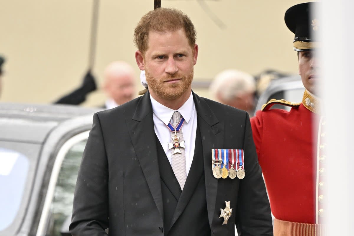 Prince Harry’s ghostwriter recalls ‘frenzied’ response to Spare’s publication (Andy Stenning/Daily Mirror/PA Wire) (PA Wire)