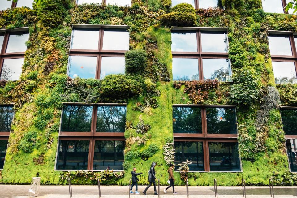 vertical garden on city building