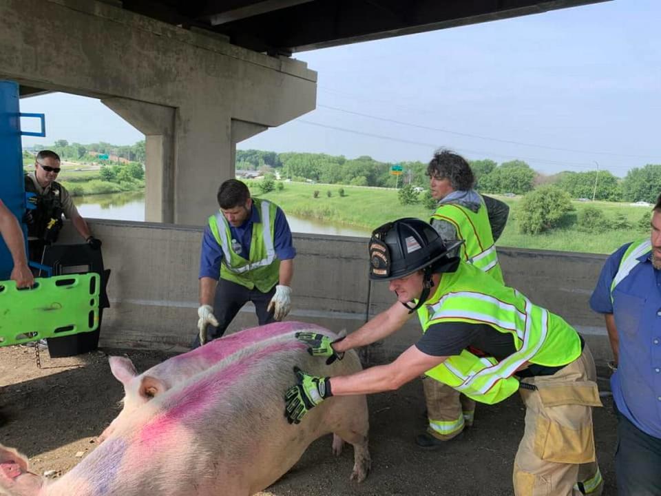 “This is a perfect example of how you can never say that ‘You’ve seen it all,’” firefighters said.