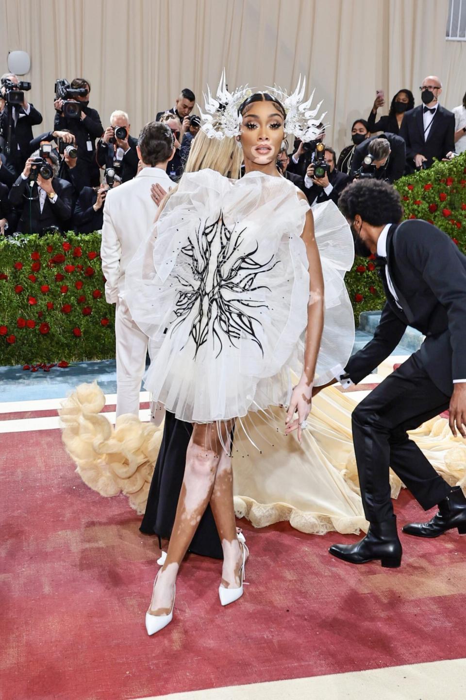 Met Gala Red Carpet 2022