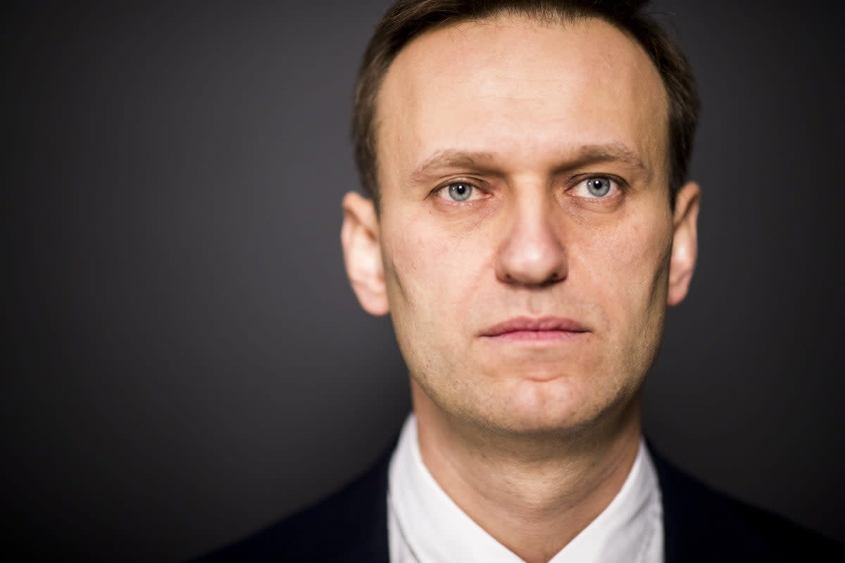 Navalny, pictured in 2017, was a vocal critic of Vladimir Putin (Getty)