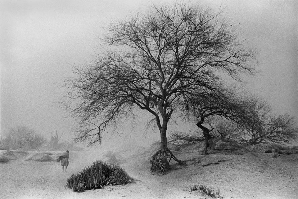 Photograph taken by Abbas, a member of the Magnum Photos agency, captioned: MEXICO. State of Guerrero. Village of San Augustin de Oapan. A woman in a dust storm, a walking tree. 1985.