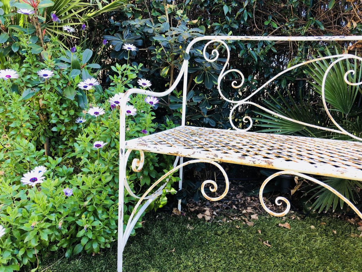 White wrought iron bench in garden surrounded by plants