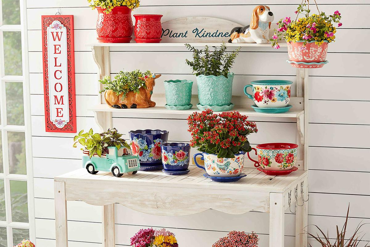 The Pioneer Woman Plants at Walmart - Where to Buy Ree Drummond's Flowers