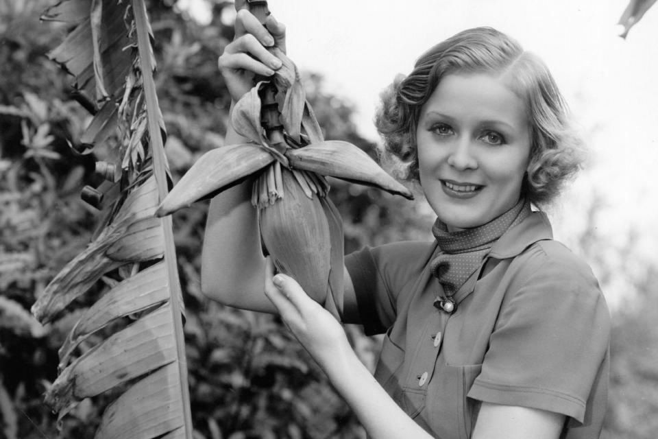 In den 30er-Jahren galt sie als aufstrebender Star in Hollywood: Gloria Stuart spielte Hauptrollen in Horrorklassikern wie "Der Unsichtbare" und "Das Haus des Grauens", ehe ihr Stern in Hollywood während des Zweiten Weltkrieges sank ... (Bild: Hulton Archive/Getty Images)