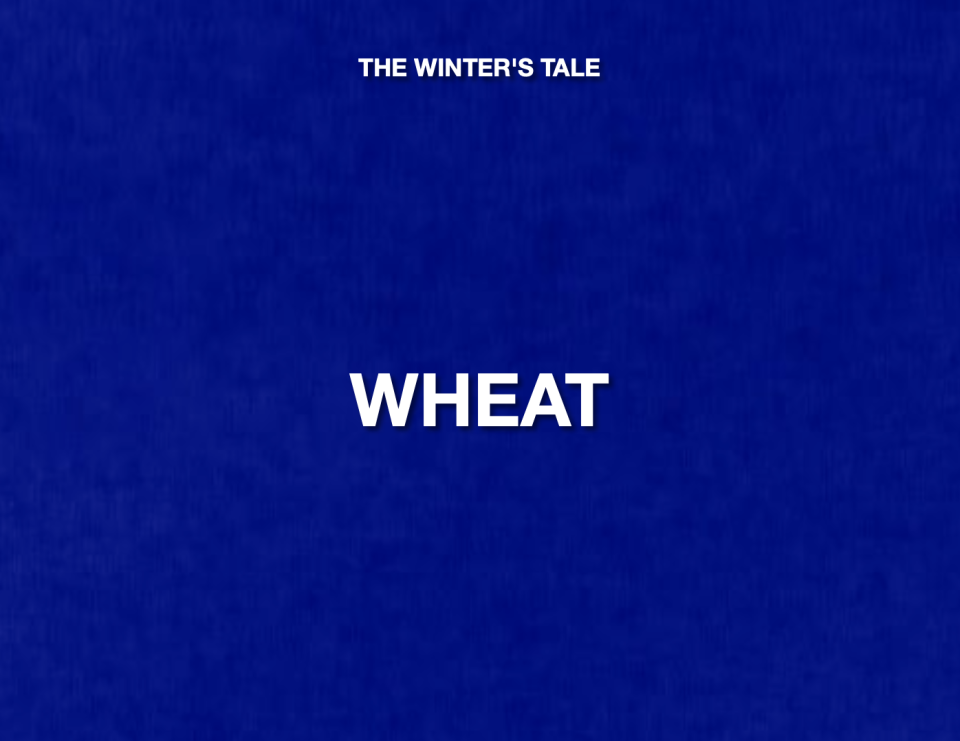 ANSWER: WHAT IS WHEAT?